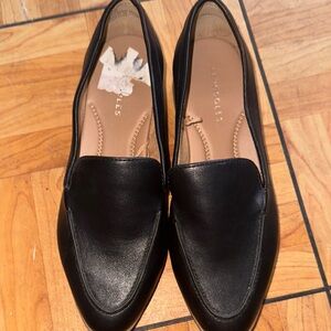 Black flats aerosols